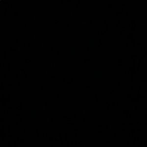 Meet your Posher, Frannymason